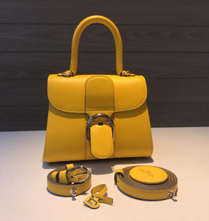 델보 브리앙 미니