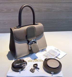 델보 브리앙 미니