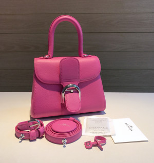 델보 브리앙 미니