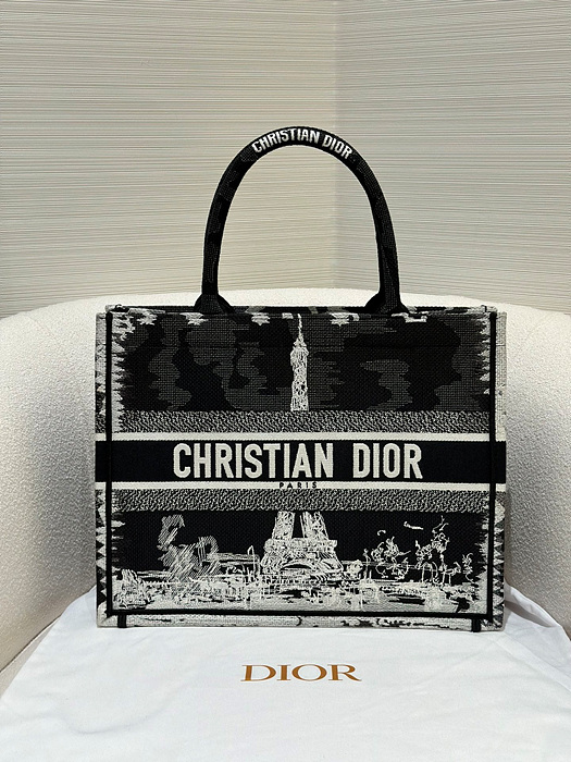 디올 북토트백 미디움