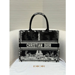 디올 북토트백 미디움