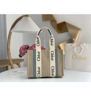 끌로에 우디백 미디움