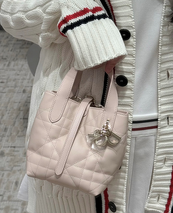 디올 뚜주흐 나노 버티컬 토트백 (컬러 파우더 핑크)