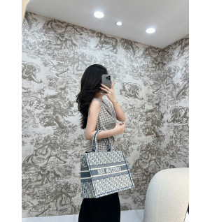 디올 북토트백 미디움 샴브레이