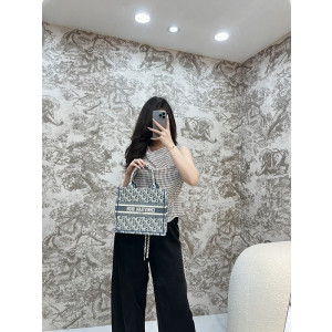 디올 북토트백 스몰 샴브레이