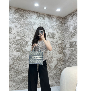 디올 북토트백 스몰 샴브레이