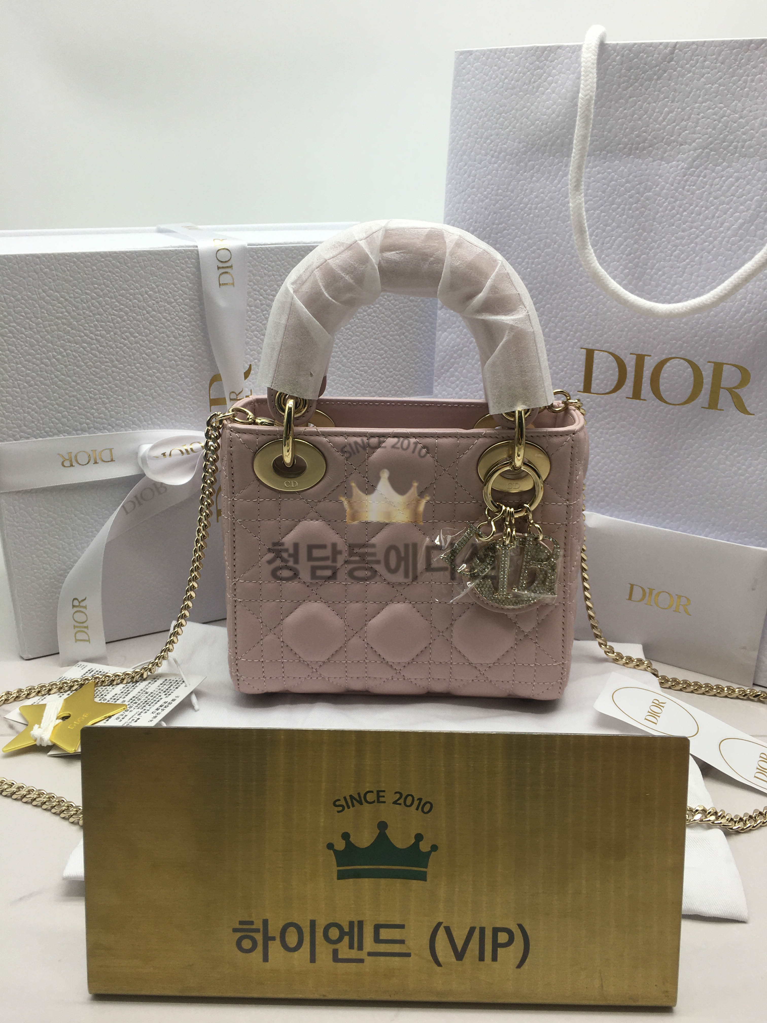 디올 레이디백 미니 (파베 참) (upgrade ver.)