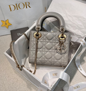 디올 레이디백 미니 (파베 참) (upgrade ver.)