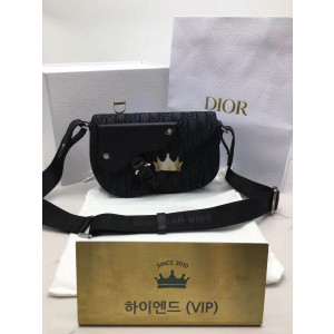 디올 새들 메신저백