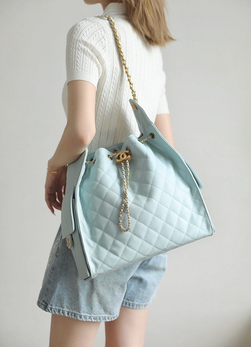 샤넬 25C 크루즈 뉴 호보백 미디움 (25백)