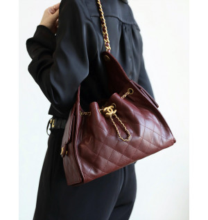 샤넬 25C 크루즈 뉴 호보백 스몰 (25백)