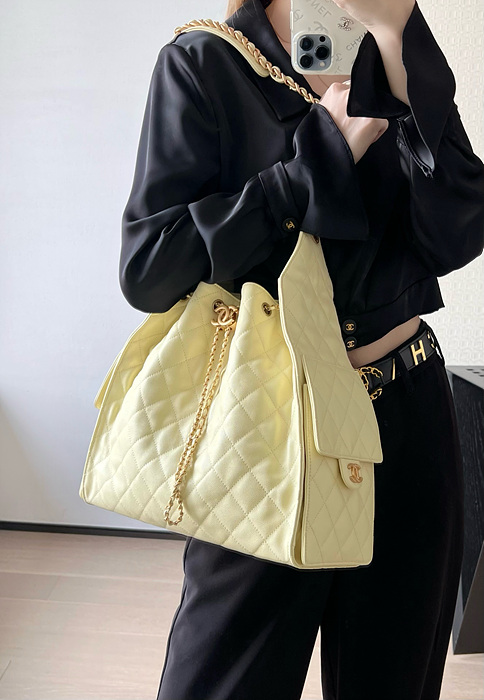 샤넬 25C 크루즈 뉴 호보백 미디움 (25백)