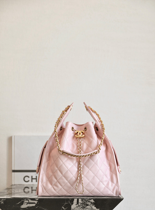 샤넬 25C 크루즈 뉴 호보백 미디움 (25백)