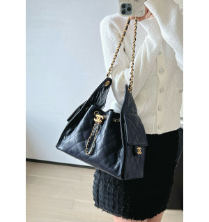 샤넬 25C 크루즈 뉴 호보백 스몰 (25백)