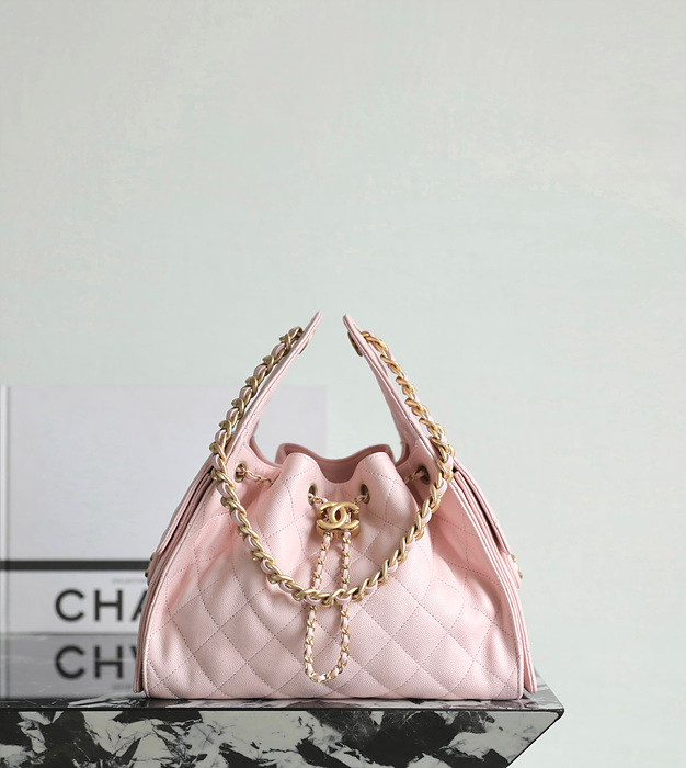 샤넬 25C 크루즈 뉴 호보백 스몰 (25백)