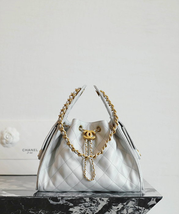 샤넬 25C 크루즈 뉴 호보백 스몰 (25백)