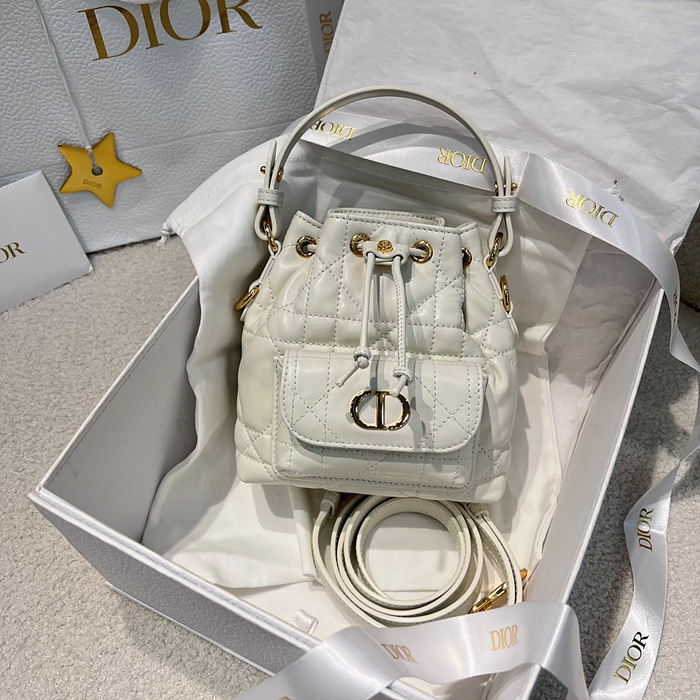 디올 카로 버킷백 나노