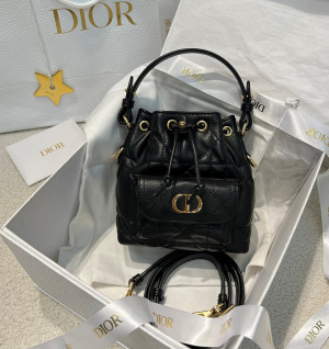 디올 카로 버킷백 나노