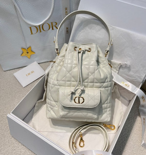 디올 카로 버킷백 스몰