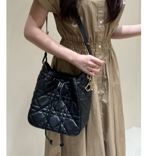 디올 D-MOTION 미디움 백