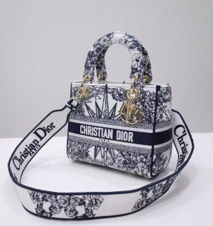 디올 레이디 D LITE 백 미디움