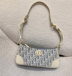 디올 30몽테인 원더 러스트백 [정품급]